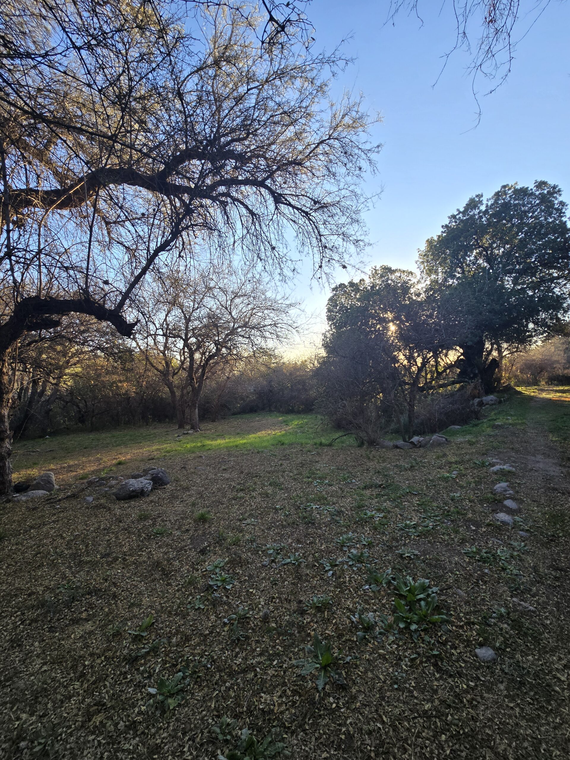 Cabañas en venta en Carpinteria