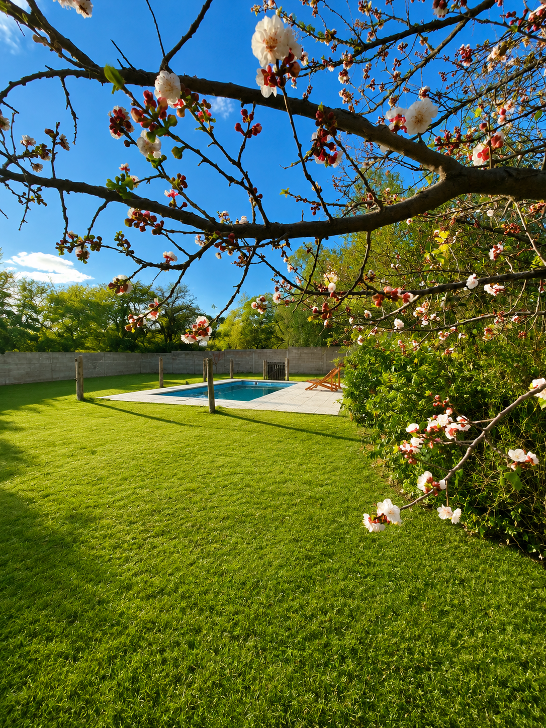 Complejo en venta en Piedra Blanca| Merlo